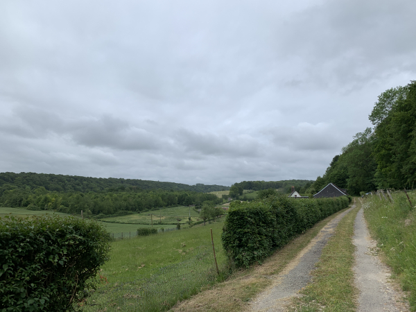 Les Fonds de Boyenval et de Marques vus depuis la lisière du bois de Campeaux.
