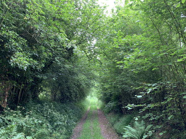 Entre Nullemont et Le Forestel, nous descendons dans les Fonds de Marques.