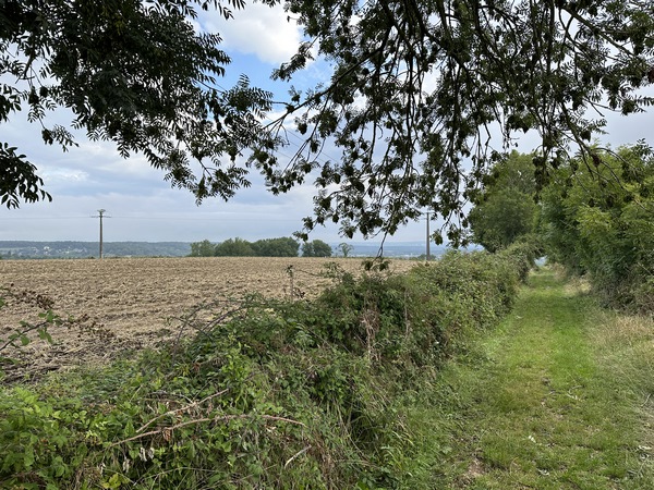 La rue de la Mare en Pierre se prolonge en chemin qui descend vers la vallée.