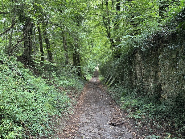 Nous longeons le parc du château de Jeufosse, lieu de l'Affaire de Jeufosse, où le jeune homme qui poursuivait la fille Jeufosse de ses assiduités fut tué par le garde-chasse du château. Cette affaire a longtemps servi de base à un concours de plaidoirie de l'académie de Rouen.