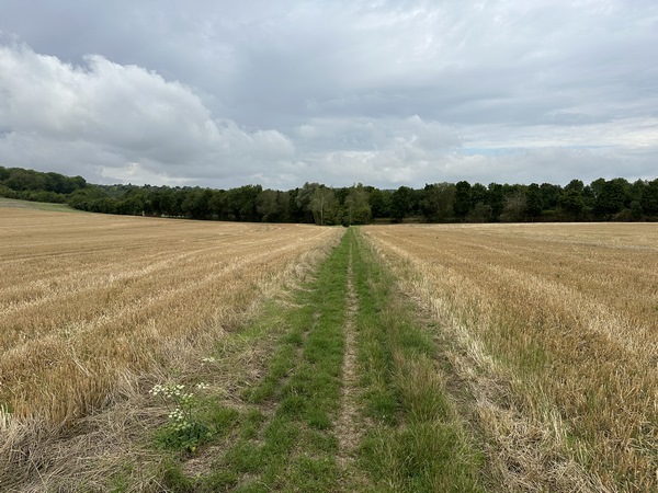 Nous prenons maintenant le chemin qui reliait le château Jeufosse à Gaillon.