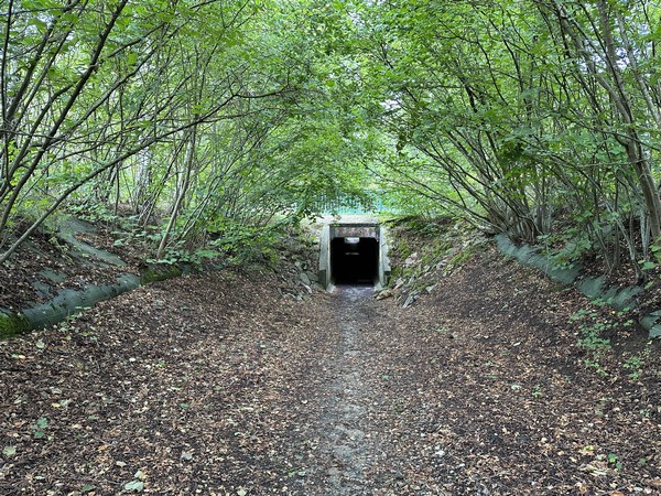 Le chemin passe sous la D316.