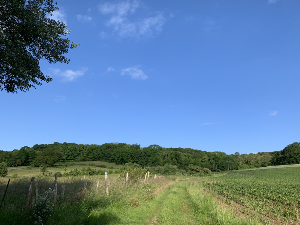 Nous avons quitté le centre de Gasny et montons vers l'oppidum du Malassy.