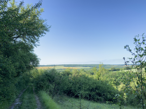 Nous descendons vers Ste-Geneviève-lès-Gasny.