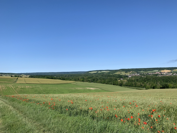 Chemin des Chaudronnières, regard arrière vers la vallée de l'Epte.