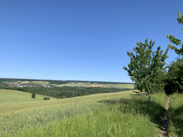 En lisière de la forêt régionale de la Roche-Guyon, nous voyons Gasny au creux de la vallée.