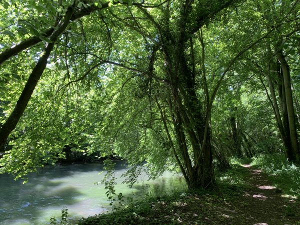 Nous suivons l'Epte pour revenir vers Gasny. Ici, notre chemin longe la rivière en sous-bois.