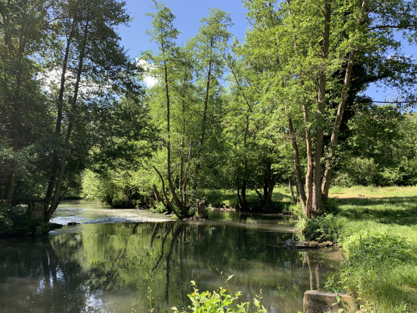 Nous allons quitter les bords de l'Epte pour suivre la Voie Verte. On peut voir ici de nombreux vestiges en pierres de taille, sans doute l'emplacement d'un ancien moulin.