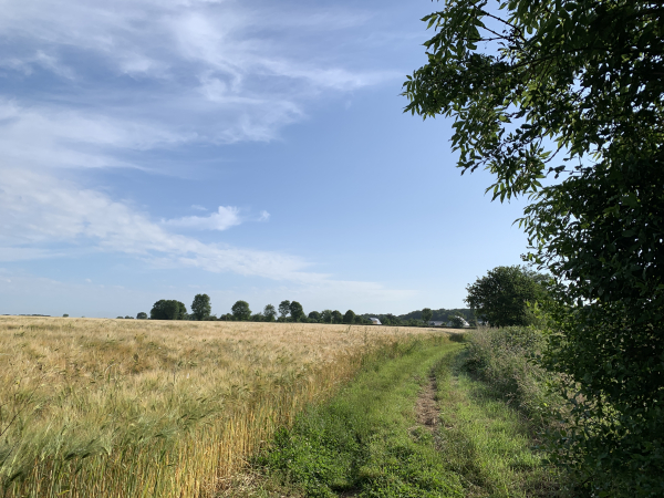 Paysages champêtres du plateau ouest de la Risle.