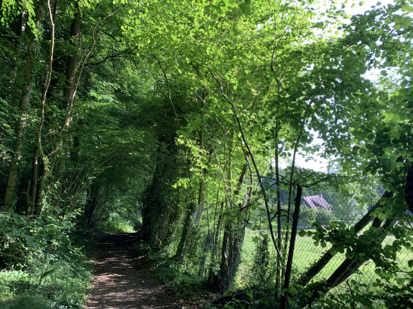 Nous descendons vers la vallée de la Risle par ses coteaux boisés.