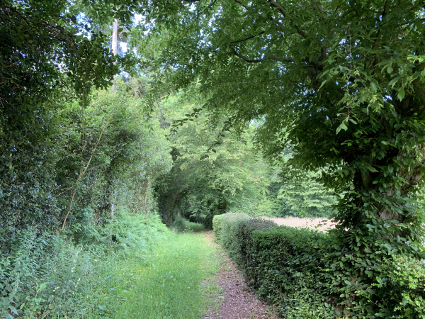Le Lieu Marquant. A partir de là, nous allons suivre une succession de petites routes, désertes, dans des paysages champêtres découpés de doubles rangées d'arbres et parsemés de bosquets.