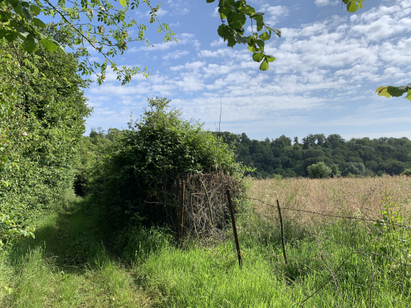 Nous remontons sur le Mont Gannel.