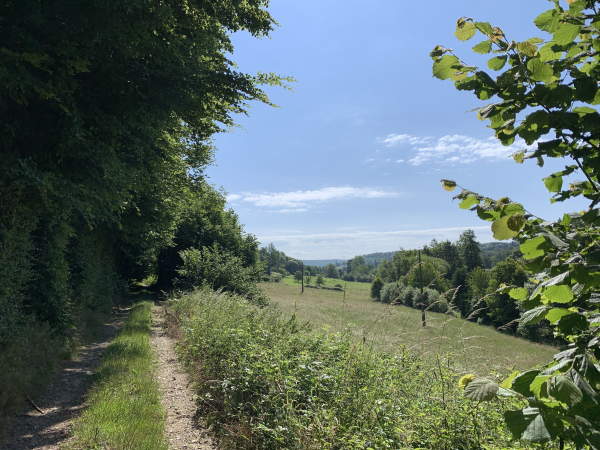 Chemin du gué. Nous allons bientôt rejoindre le chemin des Côtes que nous suivions au départ de cette randonnée.