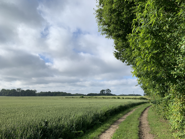 Plaine de la Houssiette. Nous décidons de ne pas tourner vers l'est pour passer devant la chapelle Saint-Sauveur, mais de continuer vers le sud jusqu'à l'ancien château du Fossé.