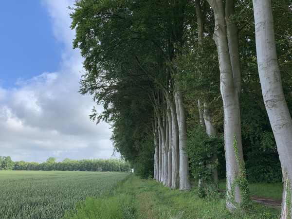 Nous longeons le parc du château du Fossé en direction du chemin de la Folie.