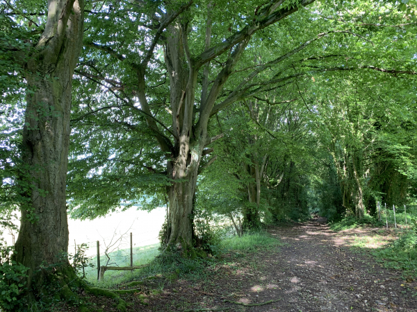 Nous descendons dans la vallée de la Clérette par le chemin de la Folie. La Folie est le nom d'une partie de l'ancien parc du château du Fossé. De nombreuses folies ont été construites au XIXe siècle, il s'agissait de pavillons originaux, souvent de style néo-classique, qui abritaient parfois une bibliothèque, un observatoire...