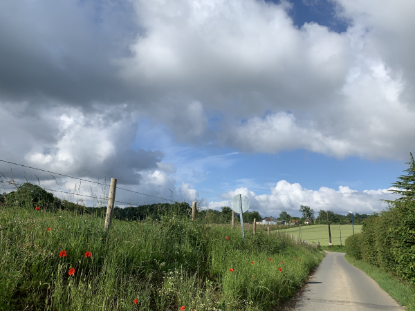 Le Bois Hébert, route des Marettes.