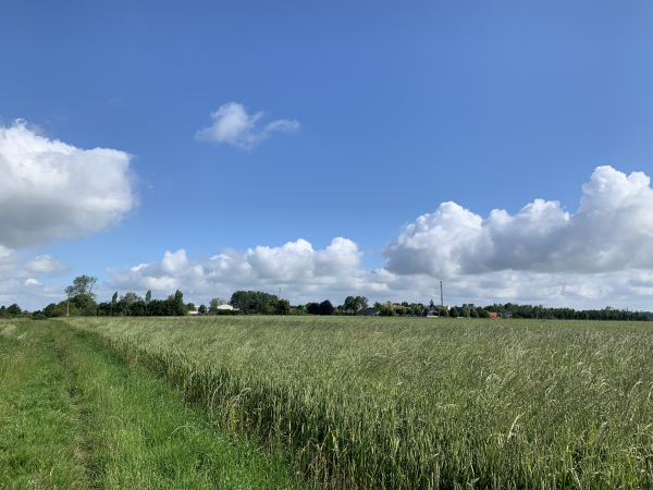 Bosc-la-Mer, nous suivons le chemin du Bosc en direction du Bocasse.