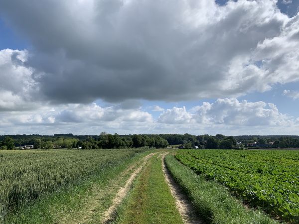 Chemin de la Hongrie au-dessus du Bocasse.