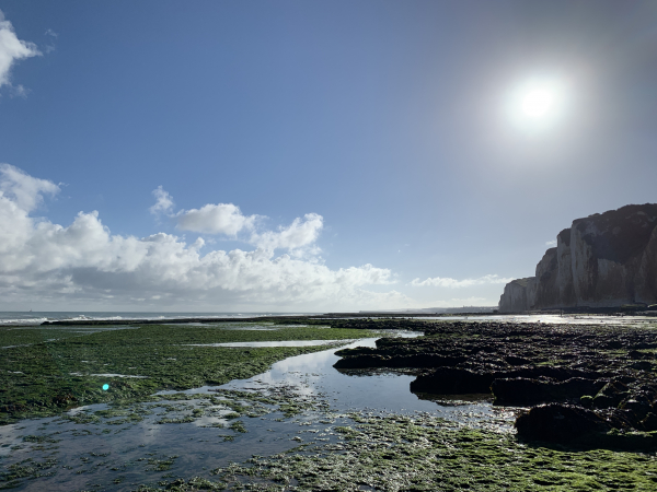Au départ de Pourville, le platier est rocheux et couvert d'algues. Le sol est donc inégal et glissant. Les bonnes chaussures à tige haute et imperméables sont vivement recommandées !