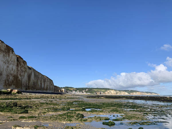 Regard arrière vers la plage de Pourville.