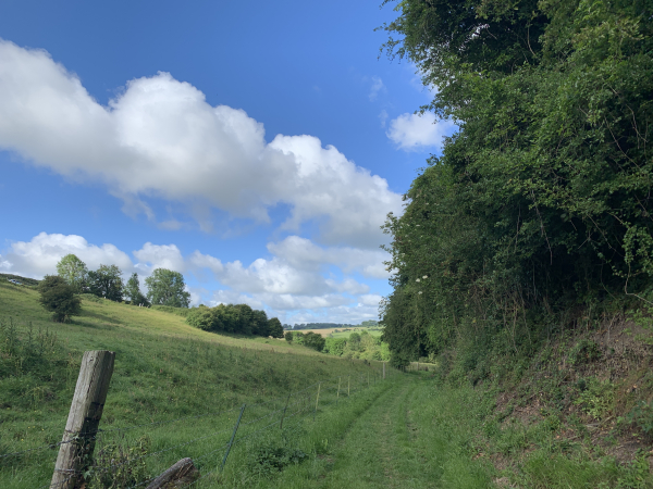 Chemin des Fontaines au sud du Mont Robin.
