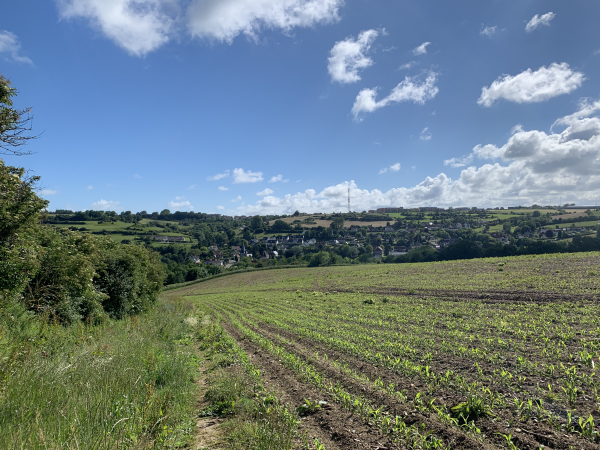 Regard arrière vers Hautot-sur-Mer depuis la Côte Sèche.