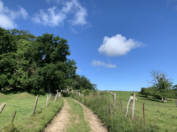 Entrée dans Bernouville, commune de Hautot-sur-Mer, par le GR21.