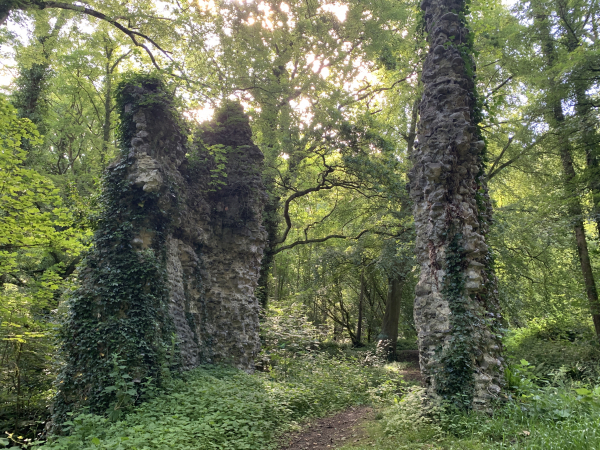 Ruines du château de Bernouville dans la forêt éponyme. La forêt n'existait pas à l'époque du château fort (du XIe au XVe), les seigneurs d'Hautot pouvaient veiller sur la côte normande. La forêt a été plantée au XIXe siècle pour transformer l'endroit en lieu de promenade romantique, l'effet est réussi !