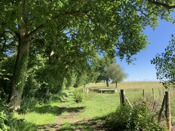 Nous reprenons notre randonnée sur le GR21. Nous ne descendons pas vers Pourville par l'ancien sentier de découverte parce que nous l'avions emprunté lors de notre randonnée au départ d'Hautot-sur-Mer. Nous découvrons donc cette partie du GR21, et nous ne sommes pas déçus !