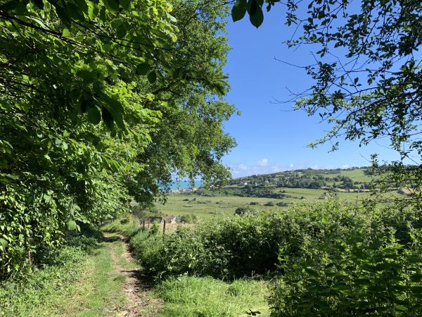 Nous arrivons à Pourville, enchantés de notre randonnée.