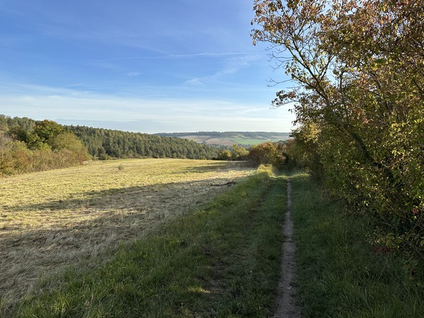 Le chemin des Vallées descend le coteau avec de jolis points de vue sur la vallée.