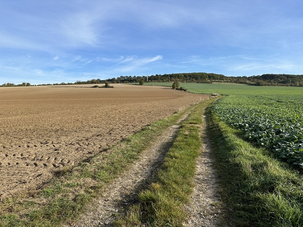 Nous quittons La Croix-St-Leufroy, et montons sur le coteau nord.