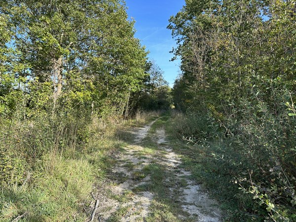 Nous sommes sur les anciennes terres du manoir de la Boissières (XVe XVIe), qui appartenait à l'abbaye de La Croix-St-Leufroy. Le manoir est en face de nous, mais il restera invisible.