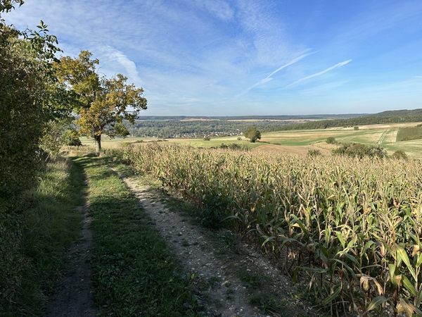 A nouveau, le coteau nous offre ses panoramas sur la vallée de l'Eure.
