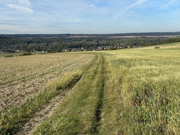 Nous descendons le coteau sur le chemin des Longs Michaux.