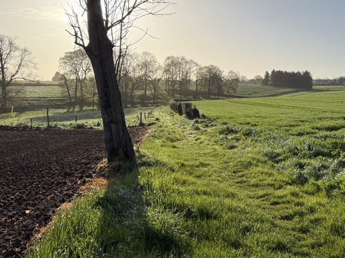 Au bout du parc du château, nous entrons sur le charmant chemin qui rejoint la route de Candos.&nbsp;