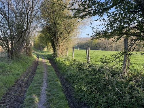 La route de Candos se continue en chemin, ancienne voie de liaison entre Saint-Pierre et Villers.&nbsp;