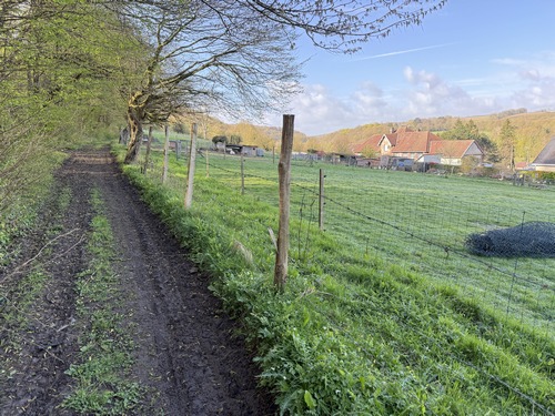 Nous montons maintenant vers le plateau par ce chemin du bois de la Hêtraie (GR2).