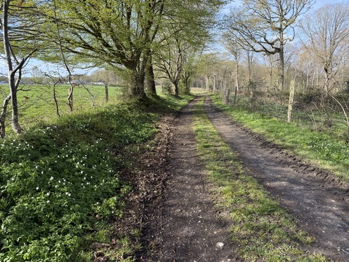 Sur le plateau, nous quittons le GR2 et suivons le chemin de Villers qui longe le bois de la Hêtraie.