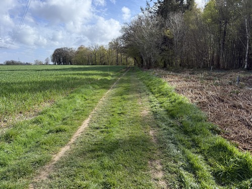 Près de l'ancienne ferme Gargantua, nous prenons le chemin de la Messe qui longe le bois de Melmont.