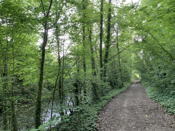 Notre chemin longe l'Iton. C'est une randonnée que nous refaisons régulièrement, et nous sommes toujours sous le charme.