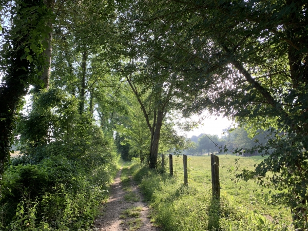Nous approchons du lieu-dit de La Londe, nous allons bientôt quitter l'Iton pour monter dans le bois des Planches.