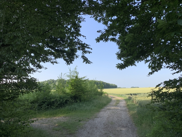 Nous allons tourner à gauche pour prolonger notre circuit jusqu'aux hameaux de Bosc et de Verdun.