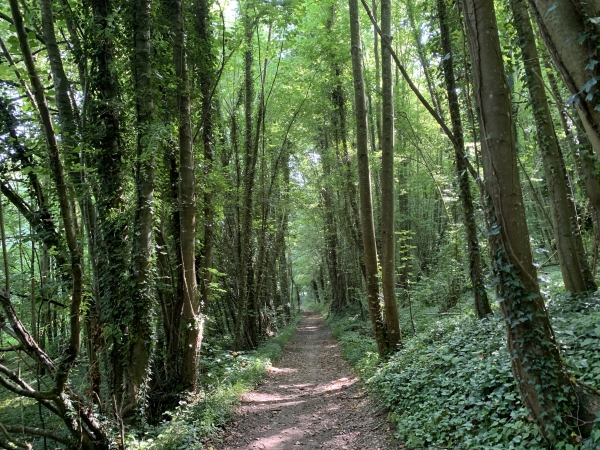 Nous suivons le GR222 le long de l'Iton.