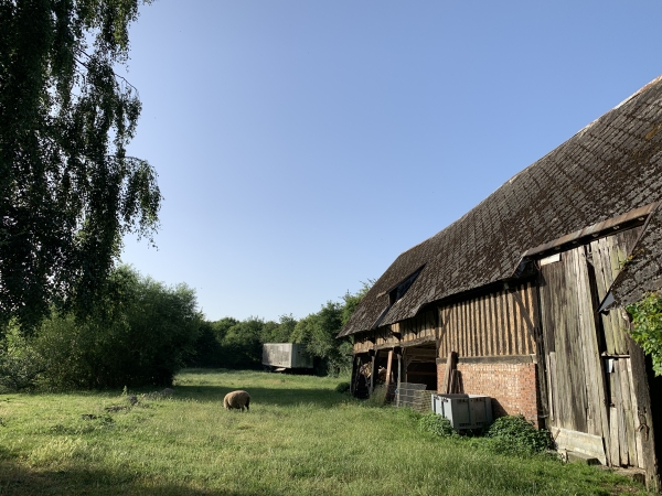 La Houssaye, vieille grange sur le chemin de Saint-Blaise.