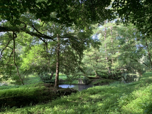 La Risle et les vestiges d'un ancien moulin.