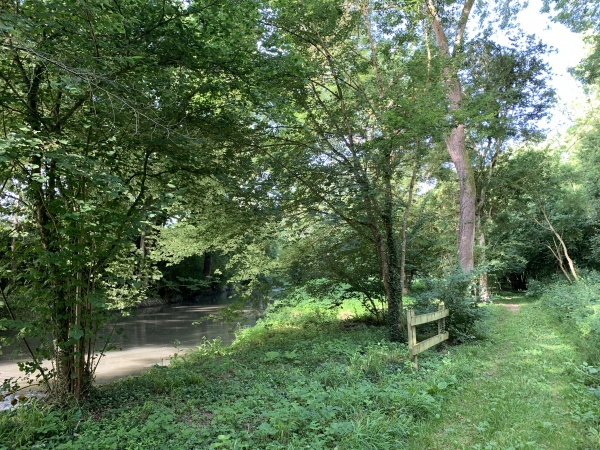 Notre chemin longe la Risle en sous-bois.
