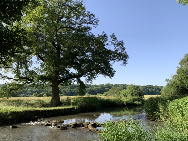 Vallée de la Risle, les Prés de la Forge.