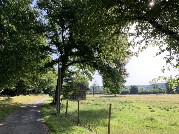 Vallée de la Risle, les Clos Brûlés. Peu avant le Val Gallerand, notre chemin devient une petite route.